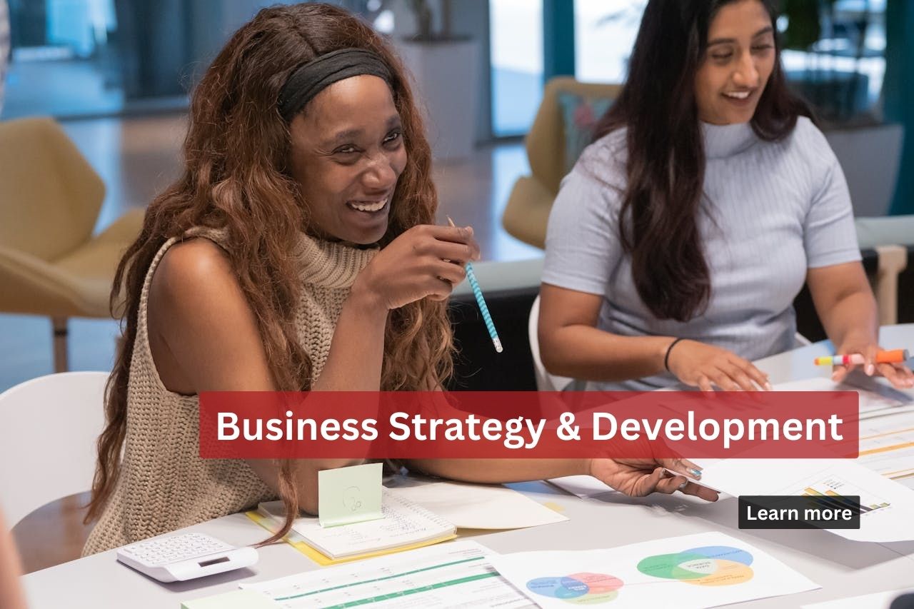 Business Strategy & Development